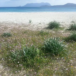 Maestrale Italien